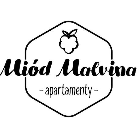 Miod Malvina Apartamenty Krynica-Zdrój Exterior foto
